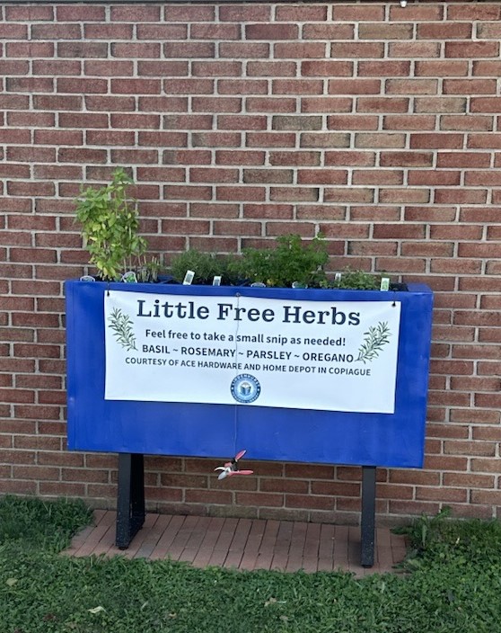 little free herb garden