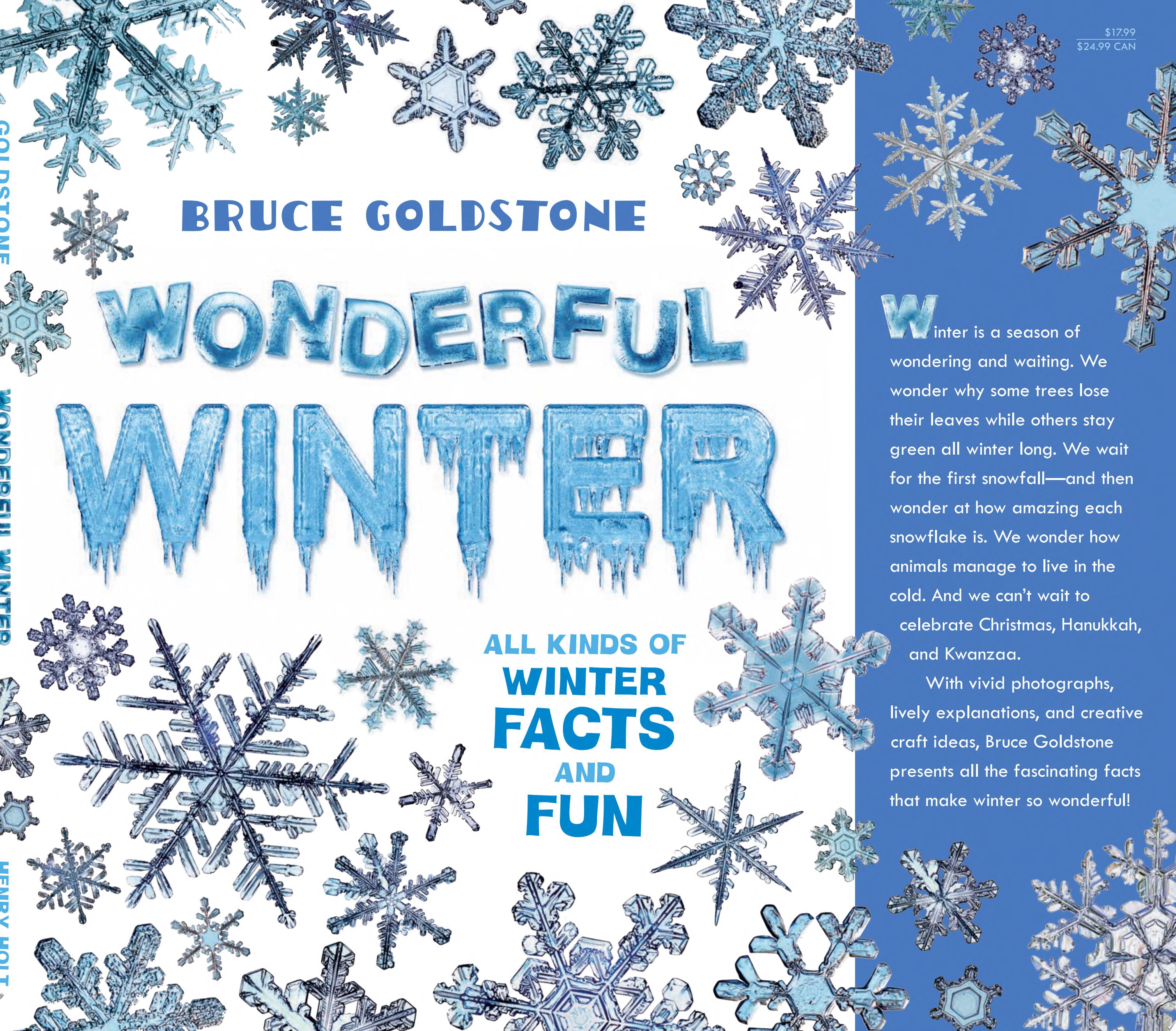 Image for "Wonderful Winter"