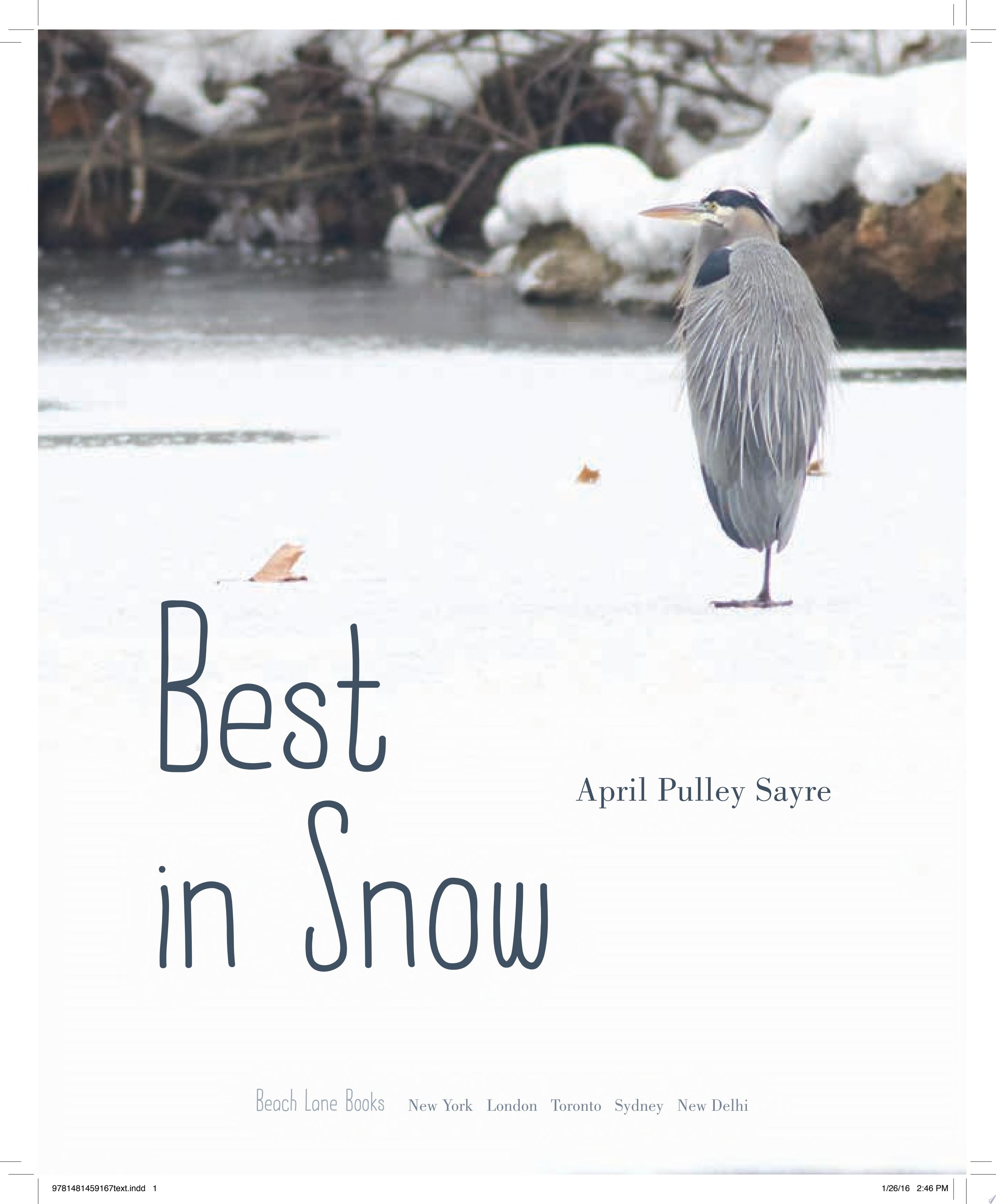 Image for "Best in Snow"