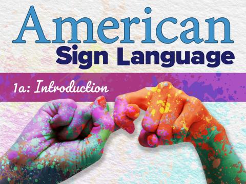 Beginner Sign Language Class