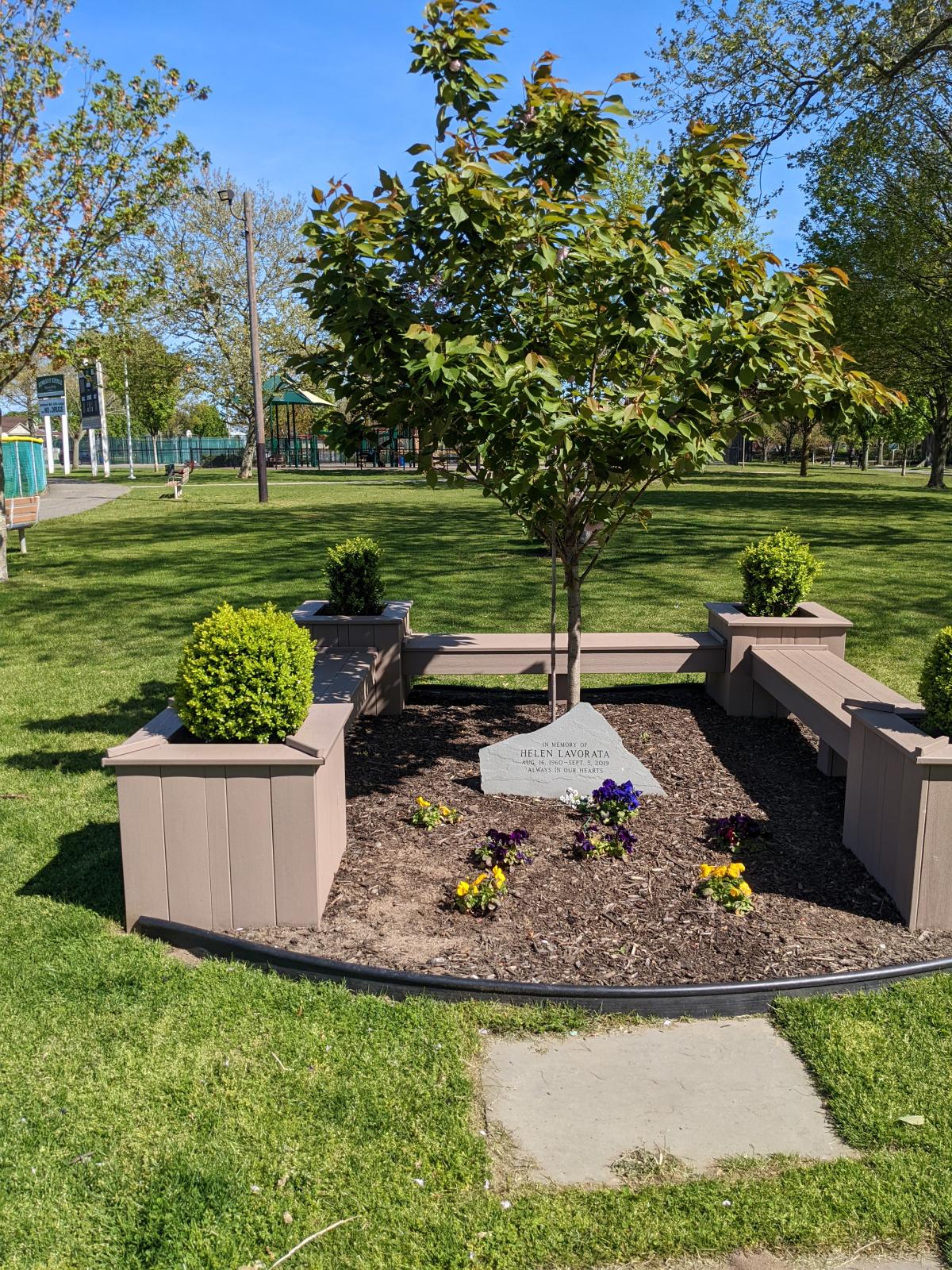 Bench in the Park